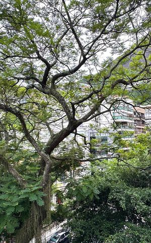 Apartamento à venda com 103m², 3 quartos e 1 vaga