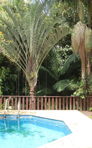 Casa de condomínio para alugar com 400m², 5 quartos e 4 vagasÁrea comum