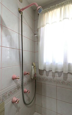 Apartamento à venda com 243m², 3 quartos e 2 vagasbanheiro Social