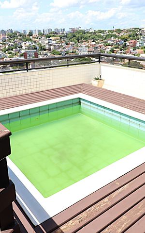 Apartamento à venda com 243m², 3 quartos e 2 vagasTerraço da Cobertura - piscina