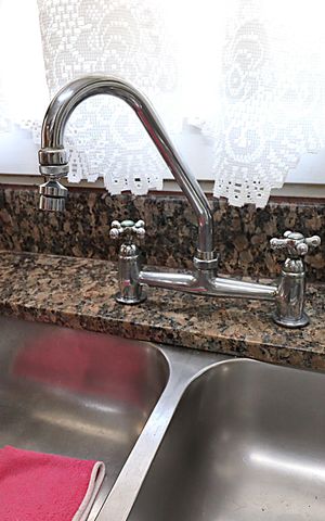 Apartamento à venda com 243m², 3 quartos e 2 vagasCozinha - Torneira