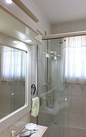 Apartamento à venda com 243m², 3 quartos e 2 vagasBanheiro da Suíte