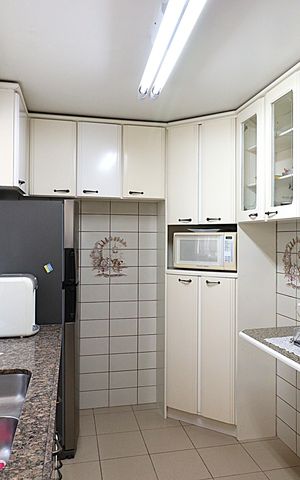 Apartamento à venda com 243m², 3 quartos e 2 vagasCozinha - Armários
