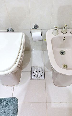Apartamento à venda com 243m², 3 quartos e 2 vagasBanheiro da Suíte