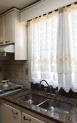Apartamento à venda com 243m², 3 quartos e 2 vagasCozinha