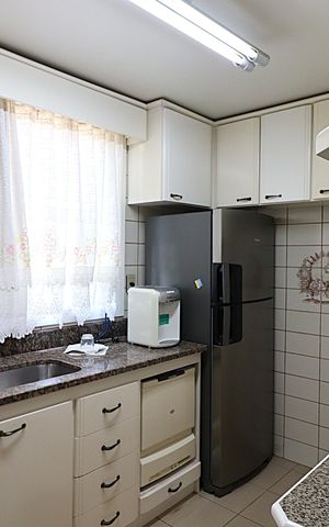 Apartamento à venda com 243m², 3 quartos e 2 vagasCozinha - Armários