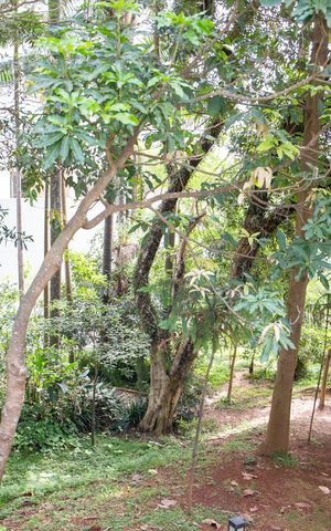Apartamento à venda com 78m², 2 quartos e 1 vagaÁrea comum