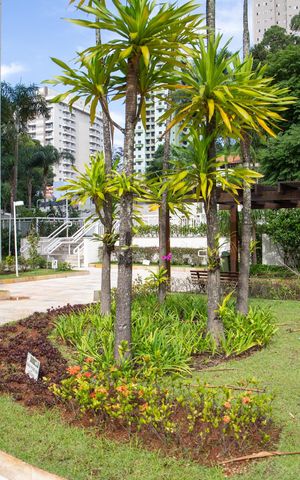 Apartamento à venda com 78m², 2 quartos e 1 vagaÁrea comum