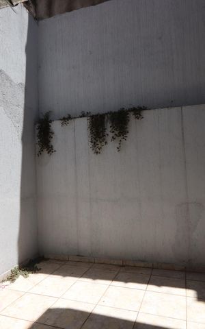 Casa à venda com 135m², 4 quartos e 2 vagasÁrea de Lazer
