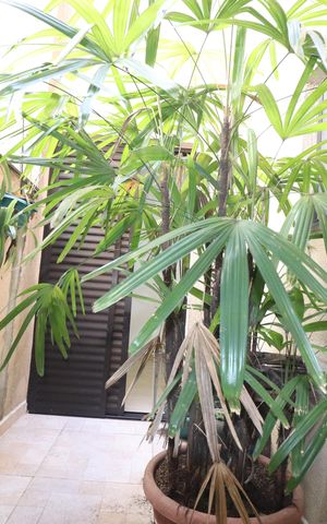 Apartamento à venda com 85m², 3 quartos e 2 vagasEspaço Garden