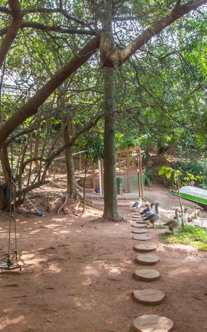 Apartamento à venda com 176m², 3 quartos e 3 vagasParque