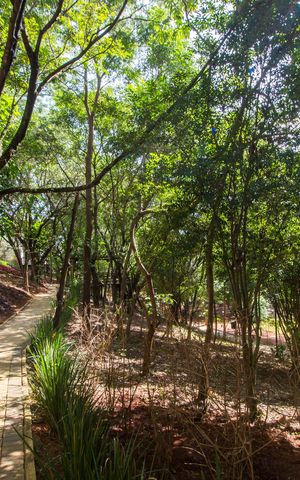 Apartamento à venda com 176m², 3 quartos e 3 vagasParque