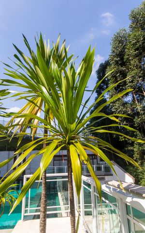 Apartamento à venda com 176m², 3 quartos e 3 vagasPiscina