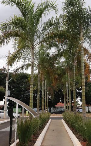 Apartamento para alugar com 79m², 2 quartos e 1 vagaHall de entrada