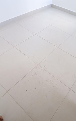 Apartamento para alugar com 79m², 2 quartos e 1 vagaQuarto 2 - Suíte