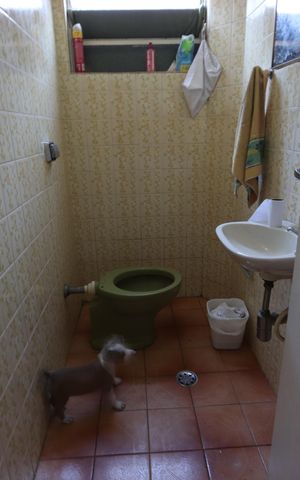Casa à venda com 125m², 2 quartos e 2 vagasLavabo