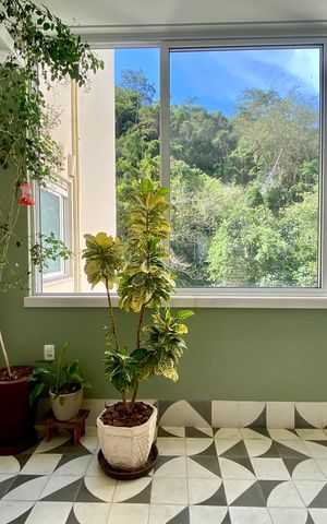 Apartamento à venda com 227m², 3 quartos e 1 vaga Apartamento à venda com 227m², 3 quartos e 1 vagaVaranda