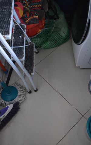 Apartamento à venda com 52m², 2 quartos e 1 vagaÁrea de Serviço