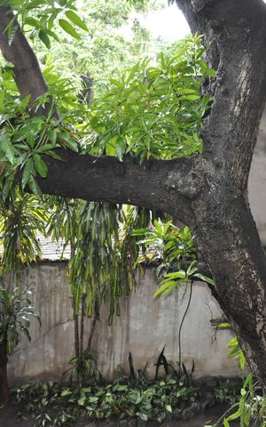 Casa à venda com 326m², 6 quartos e 3 vagasVista Quarto 1