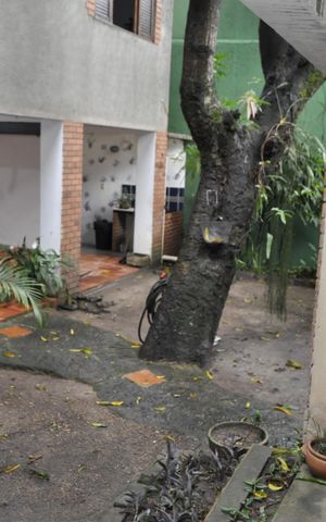 Casa à venda com 326m², 6 quartos e 3 vagasÁrea comum