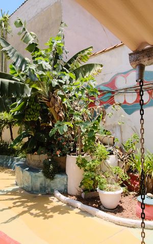 Casa à venda com 450m², 7 quartos e 6 vagasPátio