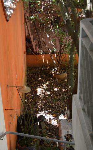 Casa à venda com 250m², 2 quartos e 2 vagasQuintal