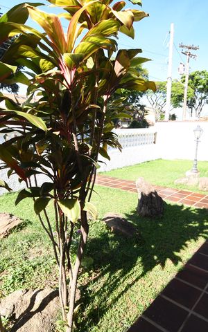 Casa para alugar com 540m², 4 quartos e 4 vagasJardim