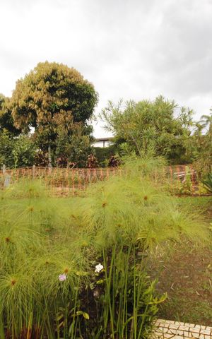 Casa de condomínio à venda com 152m², 3 quartos e 4 vagashorta