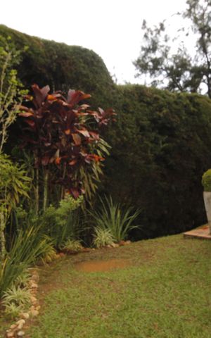 Casa de condomínio à venda com 152m², 3 quartos e 4 vagasjardim