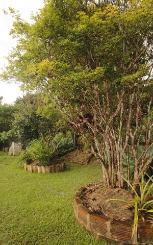 Casa de condomínio à venda com 152m², 3 quartos e 4 vagasfrutas