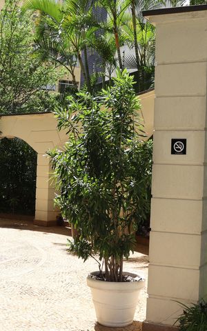 Apartamento à venda com 33m², 1 quarto e 1 vagaÁrea Comum