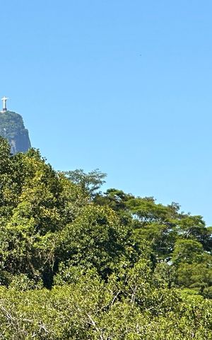 Apartamento à venda com 333m², 4 quartos e 4 vagas