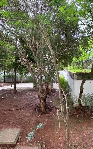 Apartamento à venda com 42m², 1 quarto e 1 vagaVista - Suíte