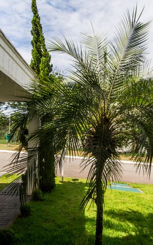 Casa à venda com 170m², 4 quartos e 4 vagas Casa à venda com 170m², 4 quartos e 4 vagasVista da Sala