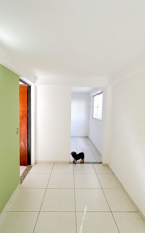 Casa à venda com 290m², 4 quartos e 10 vagas