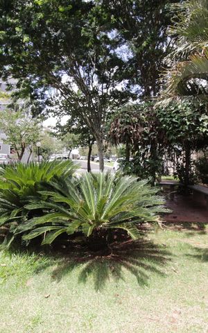 Apartamento para alugar com 45m², 2 quartos e 1 vagaÁrea comum