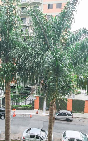 Apartamento à venda com 73m², 2 quartos e 1 vagaVista do Quarto 2