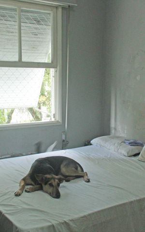 Apartamento para alugar com 230m², 3 quartos e 2 vagasSuite 2