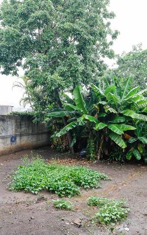 Casa à venda com 562m², 5 quartos e 5 vagasQuintal 