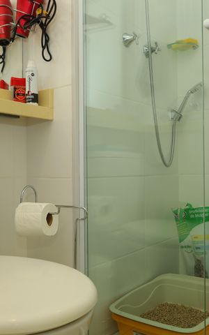 Apartamento à venda com 55m², 2 quartos e 1 vagaBanheiro 2