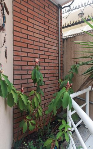 Casa à venda com 156m², 3 quartos e 3 vagasSuíte - Varanda 