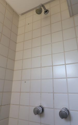 Apartamento à venda com 122m², 3 quartos e 3 vagasBanheiro da Suíte 1 - Chuveiro