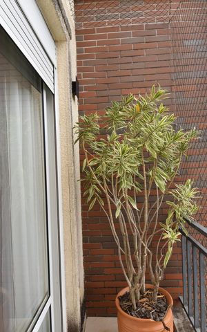 Apartamento para alugar com 155m², 2 quartos e 2 vagasSacada da Suíte