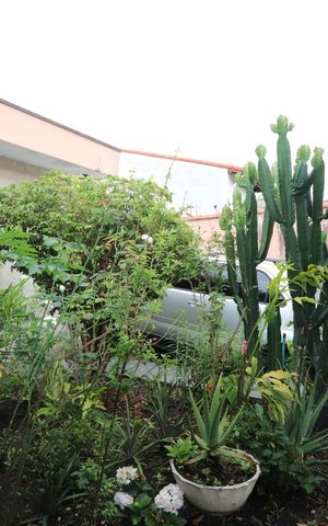 Casa à venda com 270m², 3 quartos e 5 vagasGaragem e Jardim
