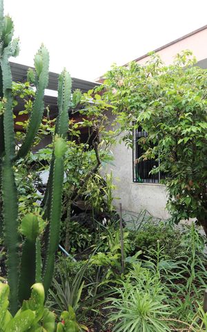 Casa à venda com 270m², 3 quartos e 5 vagasGaragem e Jardim