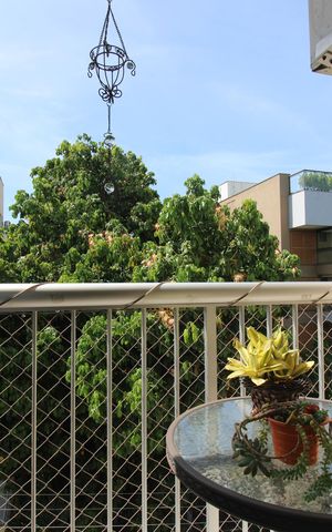 Apartamento para alugar com 74m², 3 quartos e 1 vagaSala - Varanda