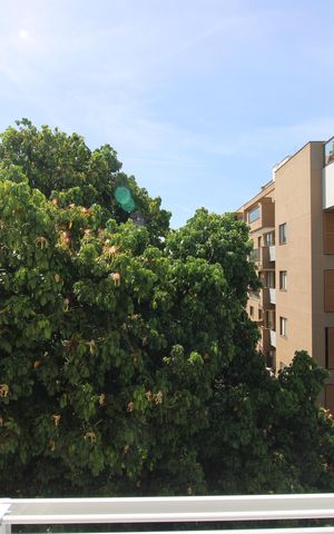 Apartamento para alugar com 74m², 3 quartos e 1 vagaSuíte - Vista