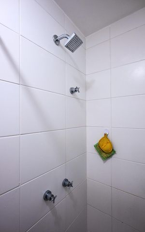 Apartamento para alugar com 44m², 2 quartos e 1 vagaChuveiro do Banheiro