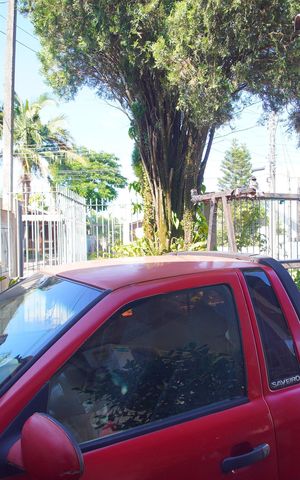 Casa à venda com 300m², 3 quartos e 2 vagasVista do Quarto 1