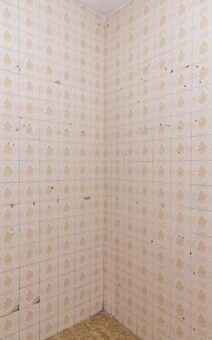 Casa para alugar com 100m², 2 quartos e sem vagaDespensa